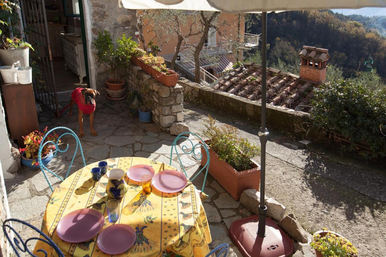 Chezcatherine Vila Sarzana Exterior foto