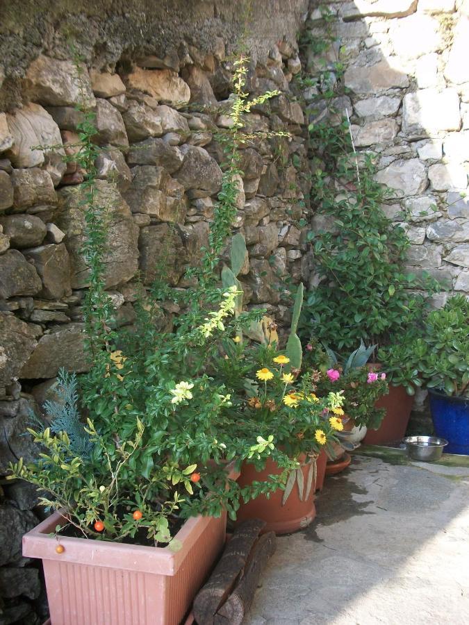 Chezcatherine Vila Sarzana Exterior foto